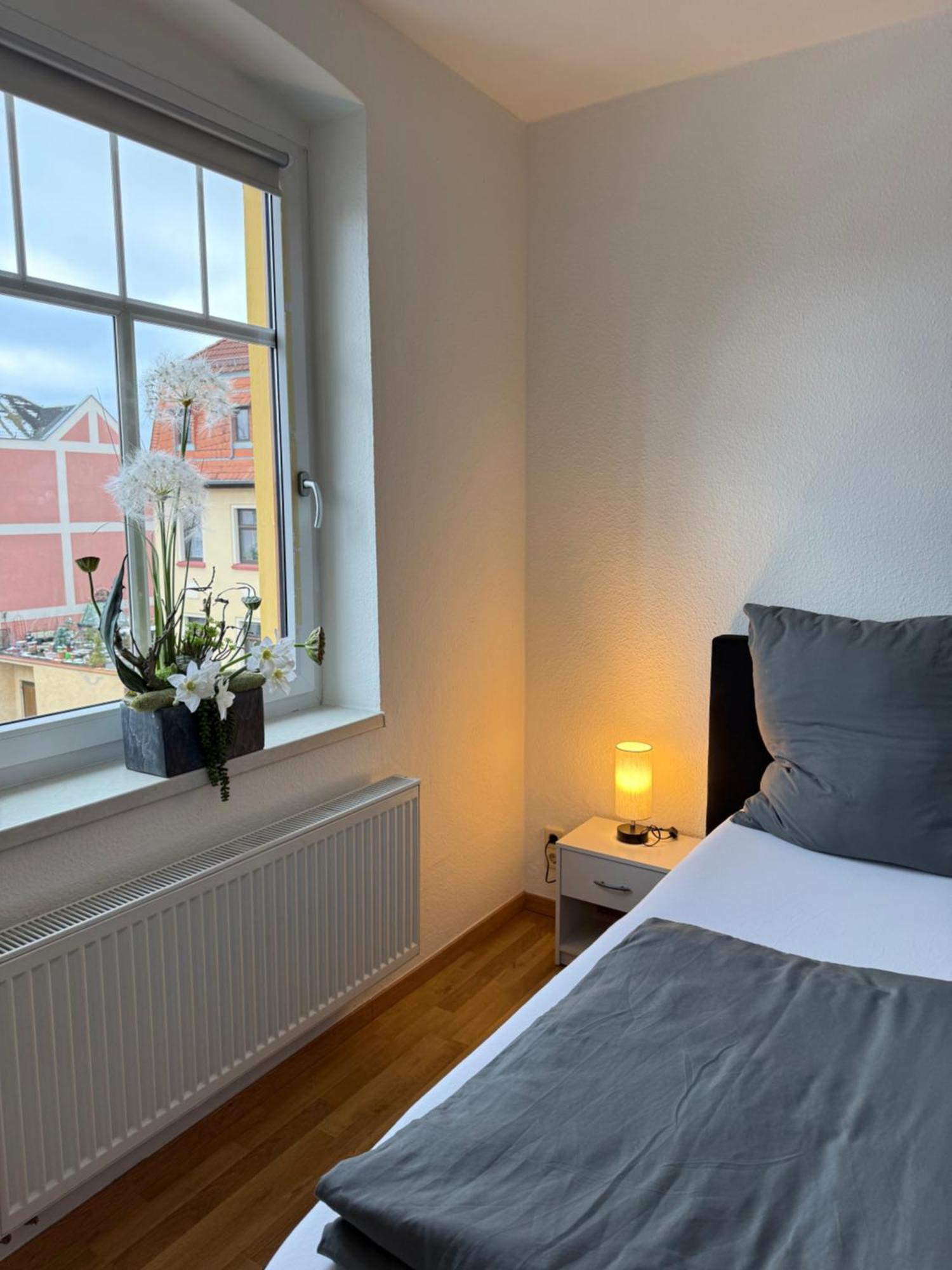 Goeltzschtal Apartment Mylau Buitenkant foto